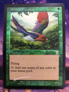 MTG/極楽鳥/Birds of Paradise/7ED/Foil/英語/希少/B