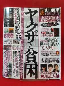 【袋とじ開封済み】実話裏歴史SPECIAL vol.16 ～ヤクザと貧困～ 衝撃流出!! 山口百恵最後の乳首！・ニッポン裏歴史現場紀行・etc.