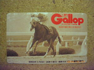 I386Aa・エルプス　Gallop　ギャロップ　抽プレ　競馬　未使用　50度数　テレカ