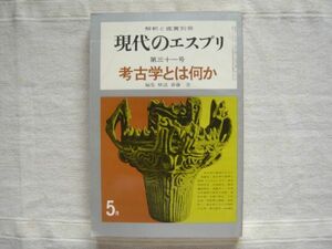 考古学とは何か 現代のエスプリ 31号【斉藤忠 ジョルジュ・ドウ 浜田耕作 後藤守一 角田文衛 三木文雄 坂詰秀一 渡辺直経 解釈と鑑賞別冊】