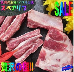 3本、豚肉の王様「イベリコ・スペアリブ500g位」スペイン産...超贅沢な逸品