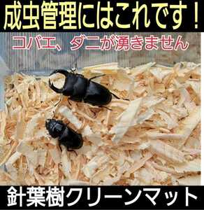 成虫管理にはこれが一番です！爽やかな香りの針葉樹クリーンマット☆生体が目立ちケース内が明るくなります！コバエやダニもわきません10L