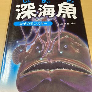 北村雄一　『深海魚　なぞのモンスター』初版　汐文社