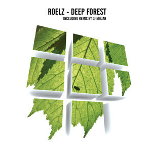 蘭12 Roelz Deep Forest WHPH3015 Work Hard Play Hard /00250