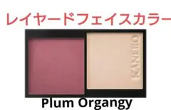 未開封品！カネボウ　レイヤードフェースカラーズ　02　Plum Organgy