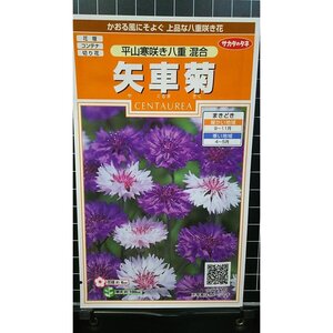 ３袋セット 矢車菊 平山寒咲 八重 種 郵便は送料無料