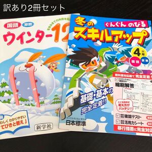 3367 冬のスキルアップ 4年 国語 算数 小学 ドリル 問題集 日本標準 新学社 教材 テキスト 家庭学習 計算 漢字 ワーク 勉強 まとめ売り