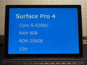 surface pro 4 256 GB 8 GB RAM Intel Core i5