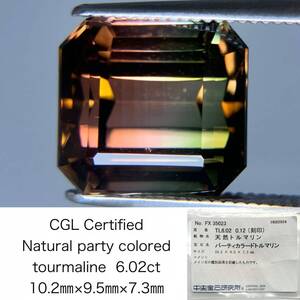 パーティーカラードトルマリン 6.02ct 中央宝石ソーティング付き 10.2×9.5×7.3 ルース（ 裸石 ） 3546S