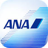 ANA 30000マイル 2日程度で加算 クレカOK マイレージ マイル数指定可 全日空 