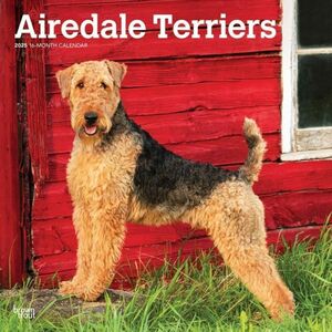 ★新品★送料無料★エアデール・テリア Airedale Terriers 2025 カレンダー★