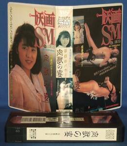 妖画SM 肉獣の宴　島崎梨乃　(87) アートビデオ　VHSレンタルUP