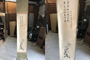 掛軸 菊画　森関山　大徳寺四代管長 広州宗沢(483世)讃/真作/桐共箱▼日本画家水墨画