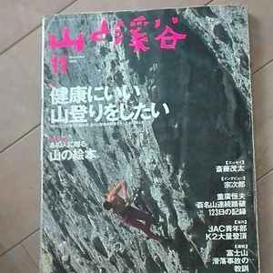 山と渓谷　1996年11月　健康に良い山登りをしたい あの人に贈る山の絵本