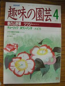 oe●NHK趣味の園芸 昭和63年4月号●チューリップ/エビネ