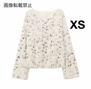 vintage ヴィンテージ レトロ スパンコール ファー ニット セーター XSサイズ レディース★ZARA 好きな方に★2024 秋冬新作 新品未使用★