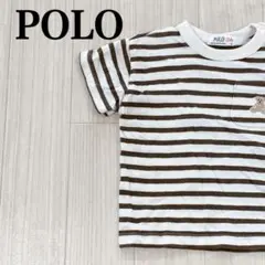 POLO baby ラルフローレン Tシャツ ボーダー柄 綿100％ くま刺繡