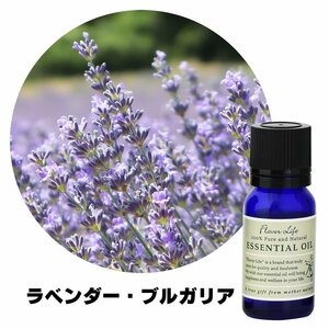 【エッセンシャルオイル】フレーバーライフ ラベンダーブルガリア 10ml 精油 アロマ アロマオイル リラックス 自律神経 ストレス 整える