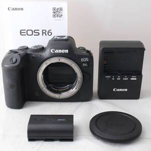 ☆美品・ショット数38000☆ Canon EOS R6 ボディ EOSR6 キヤノン デジタル一眼レフカメラ #3060