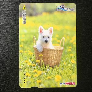 山陽/動物「犬とバスケット」ーエスコートカード(使用済/スルッとKANSAI)