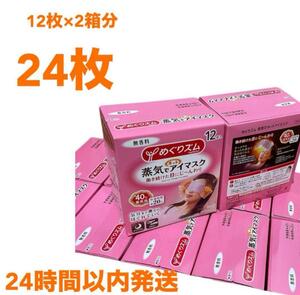 花王 めぐりズム 蒸気でホットアイマスク 無香料 (24枚入) 箱無し発送