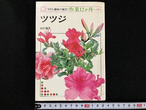 ｇ△　NHK趣味の園芸 作業12か月⑭　ツツジ　著・田村輝夫　昭和54年　日本放送出版協会　/B10