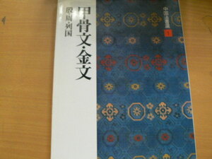 甲骨文・金文　殷・周・列国　篆書 中国法書選　二玄社　　　　ｂ