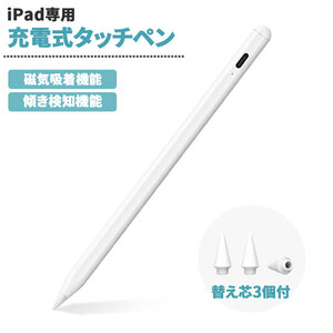 タッチペン iPad スタイラスペン 磁気吸着 高感度 高精度 傾き検知 Type-C充電 iPad第7/8/9/10世代/Air3/Air4/Air5/Mini5/Mini6/iPad Pro