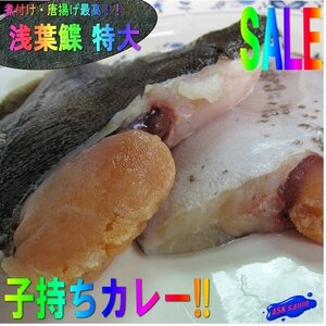 礒の高級魚「子持ちカレイ12尾位入り5kｇ」-浅羽カレイ-是非煮付けでお召し上がり下さい。