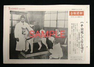 新聞総合社 写真ニュース ハチ公死して皮を残す 忠犬ハチ公 昭和10年6月14日 1935年 国立科学博物館 剥製 希少報道写真 一点限り 東京帝大