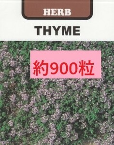 ＜ハーブの種＞クリーピングタイム　0.3ｍｌ　約900粒　グランドカバーにも　4種郵便にて発送