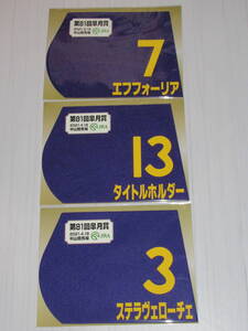 匿名送料無料 ☆第81回 皐月賞 エフフォーリア タイトルホルダー ステラヴェローチェ ミニゼッケン 3枚セット JRA 中山競馬場 限定 即決！