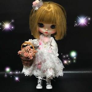 ブライス ICYドール ドール 人形 フィギュア カスタムドール 撮影用 花籠 現品のみ【B220809】