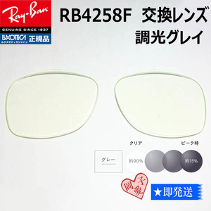 ■RB4258F用交換レンズ■ レイバン サングラス　調光グレイ