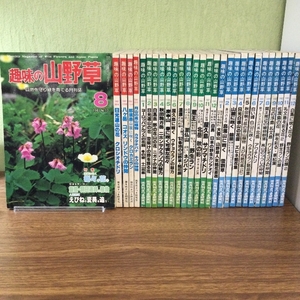 趣味の山野草　1981年８月号〜1983年１２月号　抜けなし　29冊　まとめ売り　大量　月刊さつき研究所