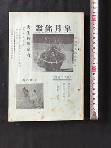 i○*　皐月名鑑 第29号 実生新種案内 昭和36年～昭和37年春　宇都宮市中丸 靑晃園　1点　書込み・傷みあり　/D05