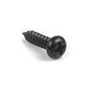 ビス Tuner Screws for Solid Pegheads, Black (8) [送料170円から 同梱可]