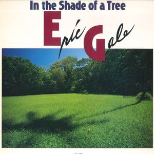 LP Eric Gale In The Shade Of A Tree VIJ28018 JVC /00260