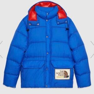 Mサイズ ノースフェイス グッチ ダウンジャケット THE NORTH FACE GUCCI DOWN JACKET コラボ ブルー 第2弾 balenciaga supreme