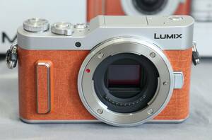 新品同様　Panasonic パナソニック LUMIX DC-GF10W　ボディのみ