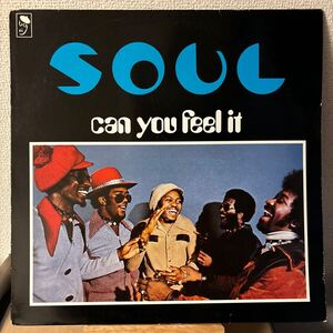 S.O.U.L. Can You Feel It レコード LP SOUL vinyl アナログ Larry Hancock STEVIE WONDER スティーヴィー・ワンダー MAIN SOURCE