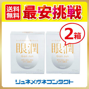 眼潤 2箱セット ハードレンズ用装着液 送料無料