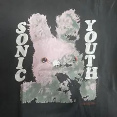 SONIC YOUTH GRACIAS ソニックユース Tシャツ dirty