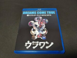 セル版 Blu-ray DREAMS COME TRUE / 裏ドリワンダーランド 2012/2013 / ff310