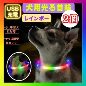 首輪 犬 光る レインボー 2個　おしゃれ 散歩 LEDライト USB充電 安全