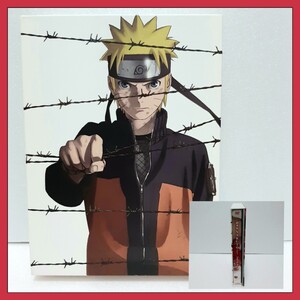 劇場版 NARUTO ナルト ブラッドプリズン DVD