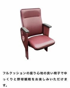 6月13日 楽天モバイルパーク宮城 楽天イーグルスVS読売ジャイアンツ 巨人 VIPシート3塁側 チケット 定価で買うと12000円