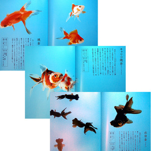 ★良品在庫1即納★金魚─長く、楽しく飼うための本｜飼育ガイド 品種図鑑 分類 飼い方 育て方 病気 繁殖 金魚鉢 水槽 すいれん鉢 トロ舟#