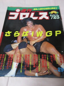 「週刊プロレス　NO.208　1987．6／23」　さらばIWGP　天龍原合体　輪島　ベースボールマガジン社 