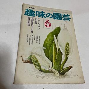 NHK 趣味の園芸 昭和51年6月号 ハナショウブ、さし木、夏野菜